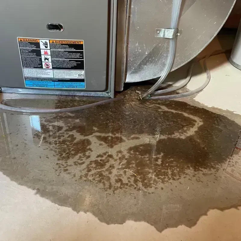 Appliance Leak Cleanup in Redway, CA